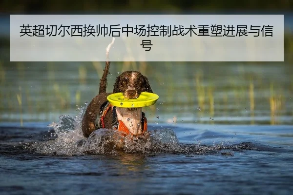英超切尔西换帅后中场控制战术重塑进展与信号